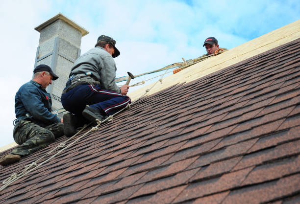 Best New Roof Installation  in North Star, DE