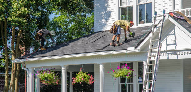 Best Metal Roofing Contractor  in North Star, DE